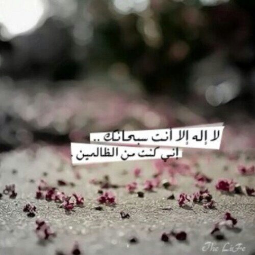 صدقه لصديقتي #تومي♡ أمد الله لي بعمرها وأبقانا سوياً حتى أضع كفي بكفك في الجنة  ولوالدتها الله يرحمها ويسكنها فسيح جناته