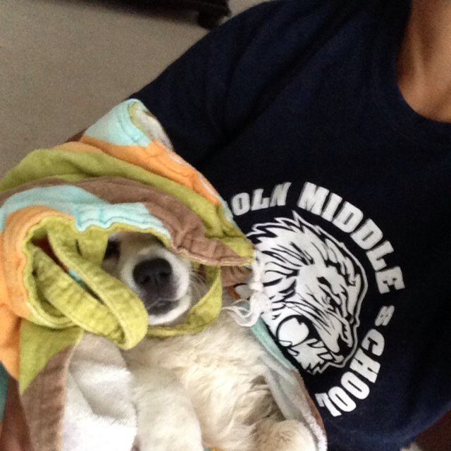 terrell_shaun's profile picture. 