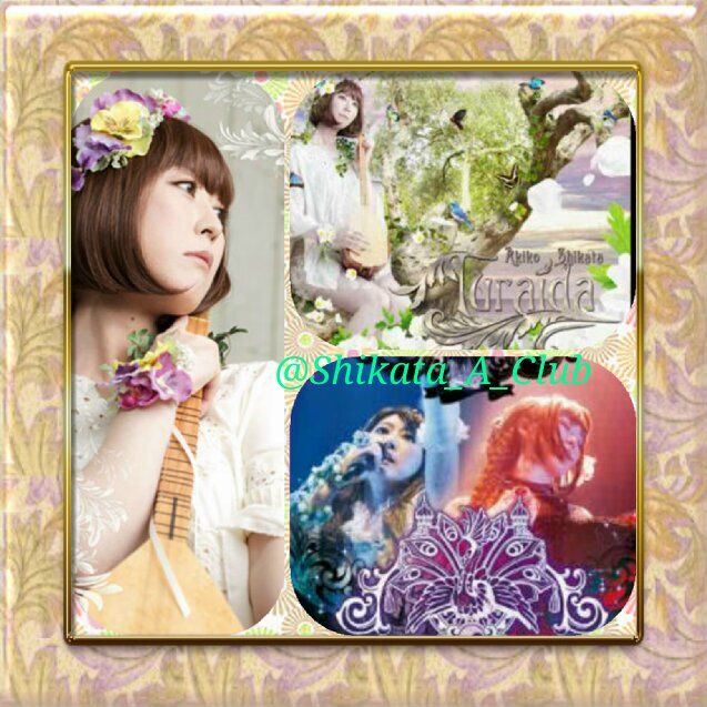 Shikata A's Fanclubさんのプロフィール画像