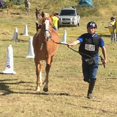 Profile Picture of Juan Carlos Alvear. (@juan25267342) on Twitter