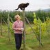 Sarah A Bell (@sunnybankvines) Twitter profile photo Sarah A Bell (@sunnybankvines) Twitter profile photo