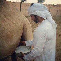 Hamdan_Al_naimi (@hamdan663) 's Twitter Profile