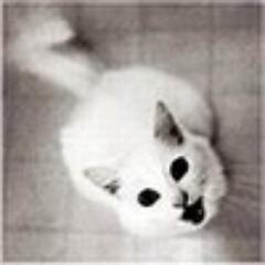 Здесь Родос-здесь и прыгай