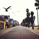 ناصر الدين الالمعي. (@11Nassir) Twitter