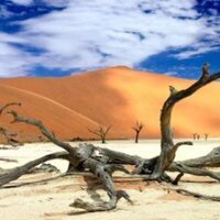 Native Escapes (@nativeescapes) 's Twitter Profile