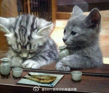 0411 资深手法农 前列腺按摩 手法灵巧 敏感带探索精确，JJ无关大小，只寻求深度身心愉悦 本地0🐮，05🐮可联系 老胖勿扰