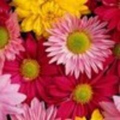 Рты у многих одинаковы, головы у всех разные