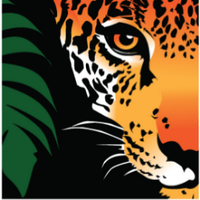 Rainforest Trust(@RainforestTrust) 's Twitter Profile Photo