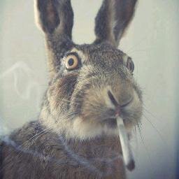 Humano y ya es decir mucho XD