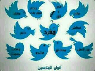 mwm123833's profile picture. 