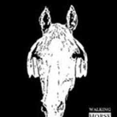 ItsWalkingHorse's profile picture. We are an Alternative Rock Music Band featuring John Valdez: lead vocals, Ocean: lead guitar & Jerry Galindo: Percussion. Check us out!!!