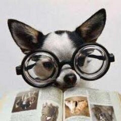 Profile Picture of John Van Uden (@hondjevannu) on Twitter