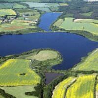 Steve Denny (@stevied131) 's Twitter Profile Photo