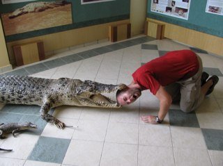 DarrenMccarroll's profile picture. Just a bloke who works in a garage.