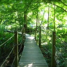 Audubon BOTR is a non-profit nature center and sanctuary located along the Pomperaug River. Our Mission is to conserve and restore natural ecosystems.