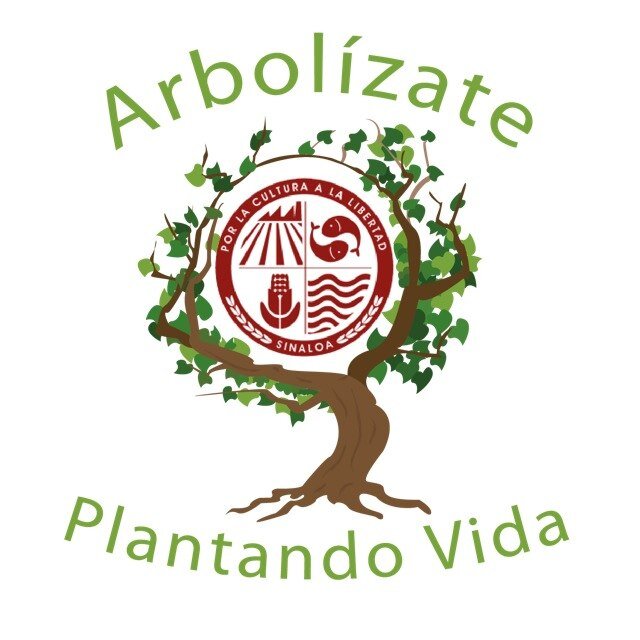 ¿Plantar un arbol? ¿Ayudar al planeta? Siguenos y enterate de los beneficios que Arbolizate te brinda por participar plantando un arbol.