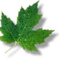 James Hudson (@alphaportfolios) 's Twitter Profile Photo James Hudson (@alphaportfolios) 's Twitter Profile Photo