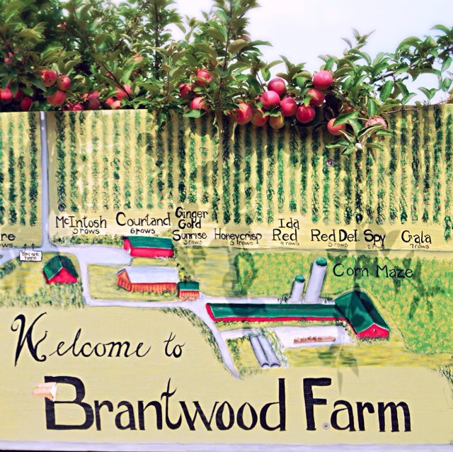 Asparagus, Strawberries, Sweet Corn, Apples and Pumpkins, Brantwood Farm offers a wide range of locally produced food, in store and PYO.