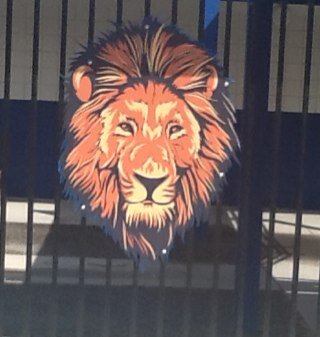 Home of the Lions
Pride of Washoe County School District
