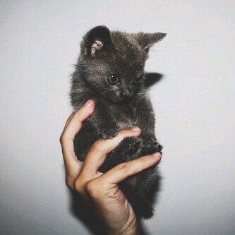 موقنهه ب ان ربي سوف يحقق أحلامي يوما ما ' :)♥