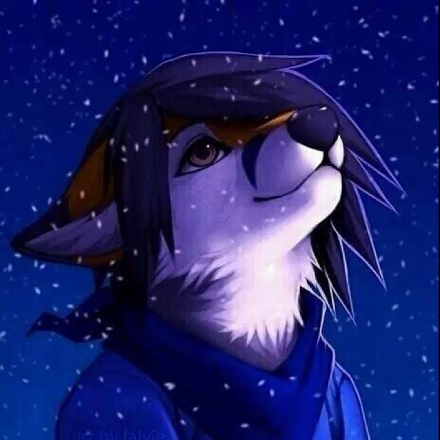 ACode31's profile picture. 