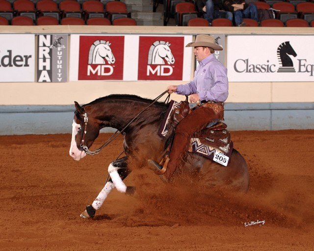 ~Reining~ I'm an equestrian so I'm automatically cooler than you~ AQHA & NRHA