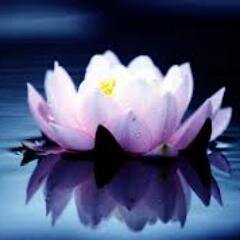 Say hello!! i'll show u plants with amazing effects, used by our ancestors for dimensional travel, do spiritual cleansing or simply to relax and enjoy  e3d79d2