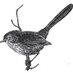 Pasadena Audubon (@pasaudubon) Twitter profile photo
