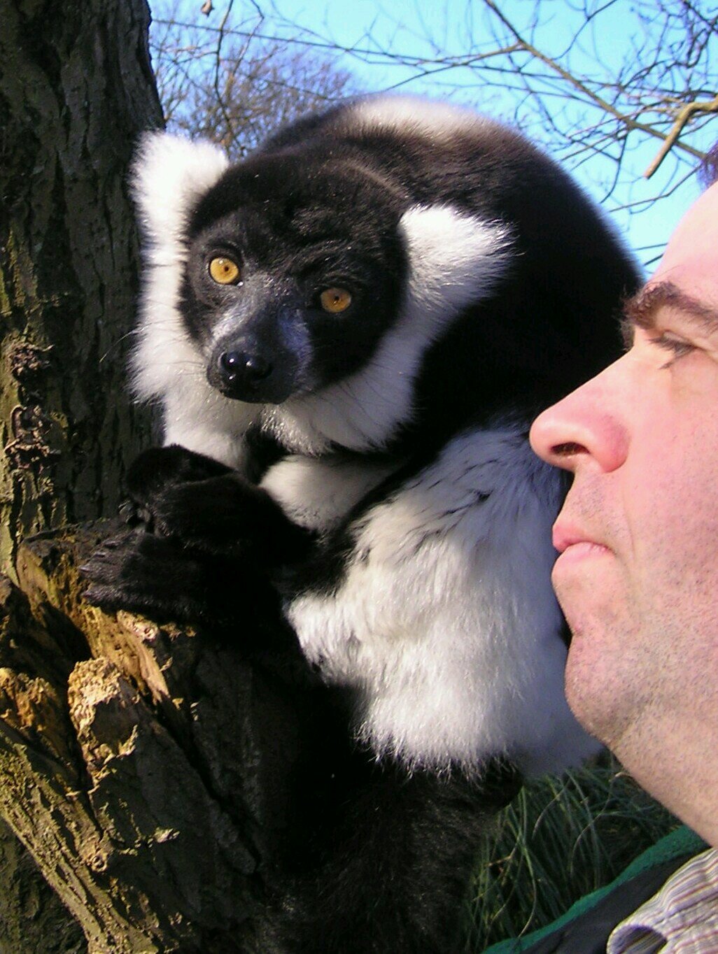 Animal fan, especially lemurs. former motor race marshal. real ale drinker. public transport user. naked cycle campaigner. bit of a naturist rambler. rock fan