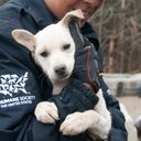 Sara Horning - @HS_NOharm - Twitter