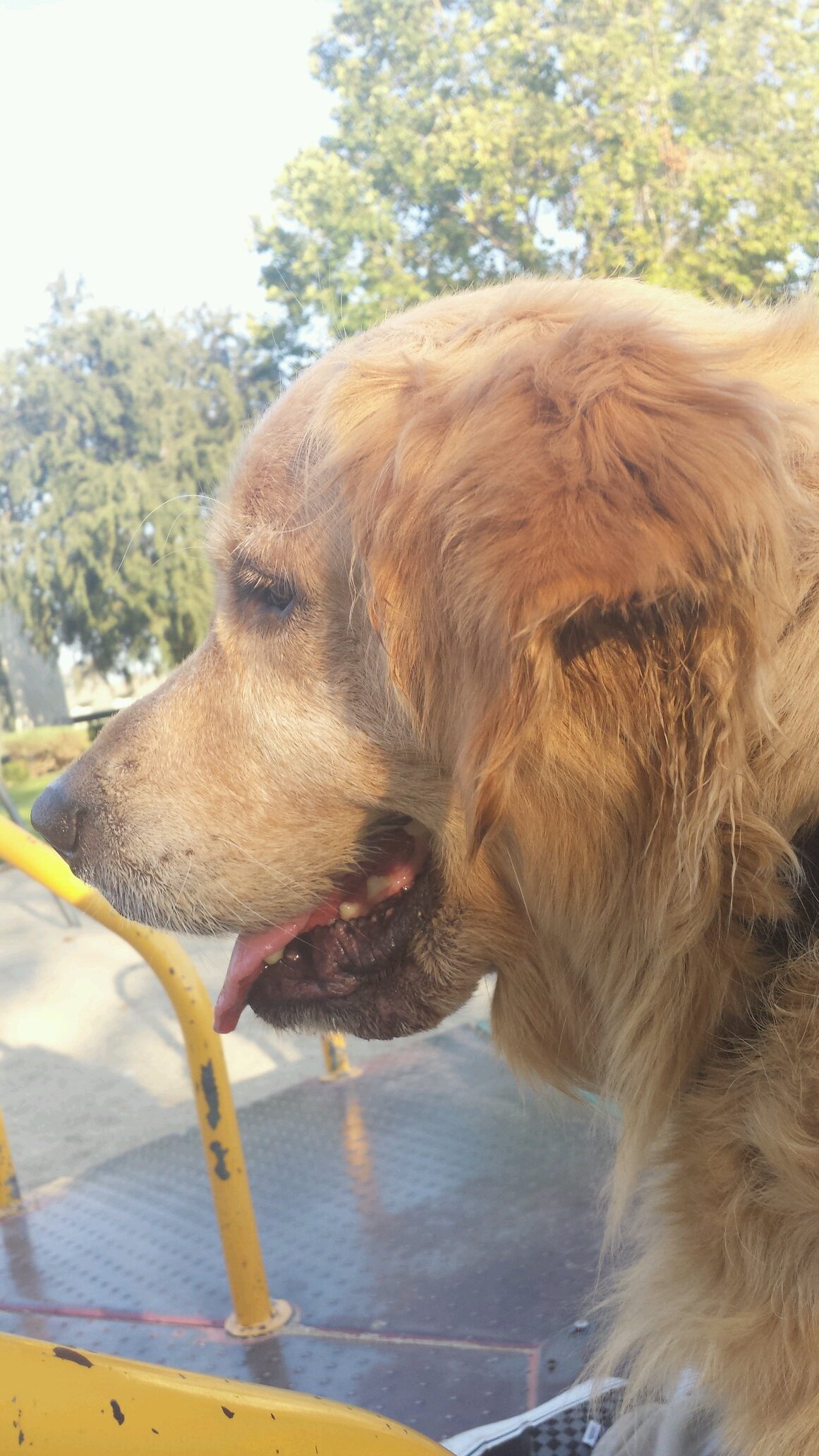 rubunatz's profile picture. 