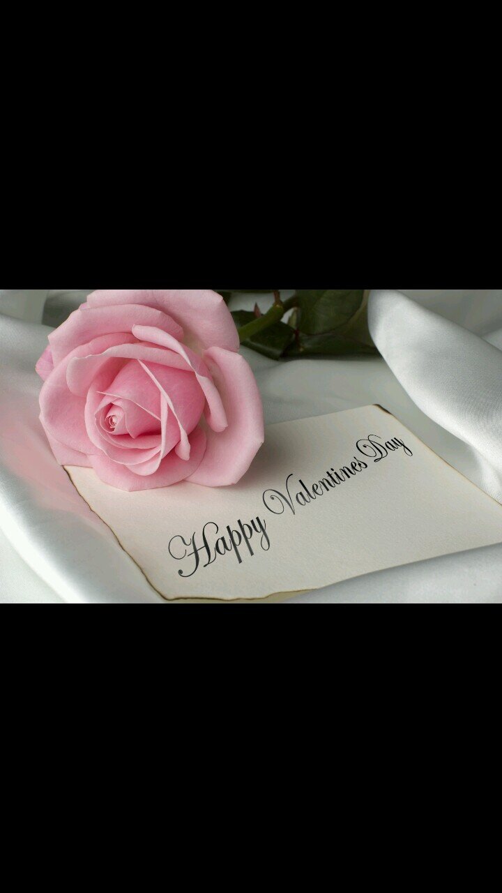 norah_h2013's profile picture. 