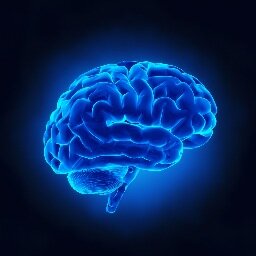 Desmenuzaremos aquellos temas de #psicología que más te preocupan: #DesarrolloPersonal, #Pareja, #Hijos, #Familia, #Neurología, #Psiquiatría, #Psicología