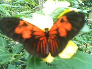 amglees's profile picture. 