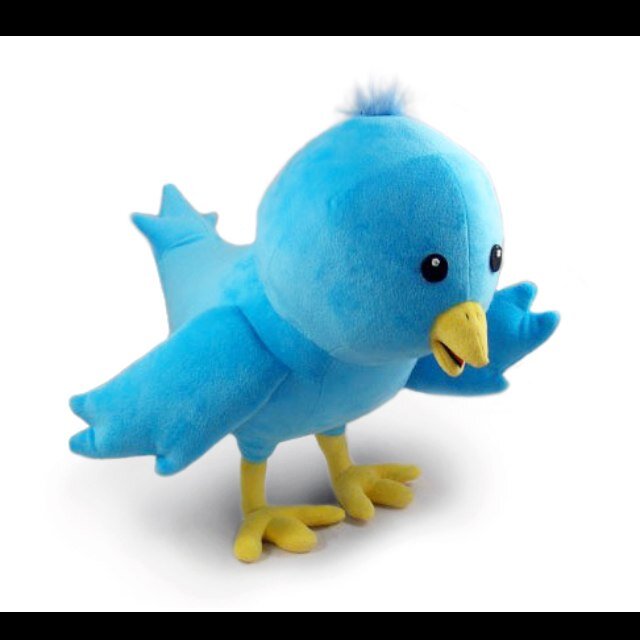 The #1 source on getting twitter followers, just by following me you'll gain. #TeamFollowWack #TeamFollowBack