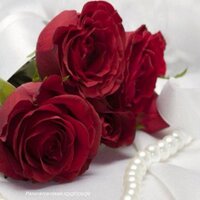 لصمتي حكايه (@s21e121) Twitter profile photo