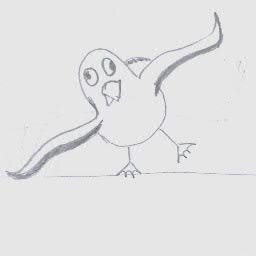 Albatross_12 Profile Picture