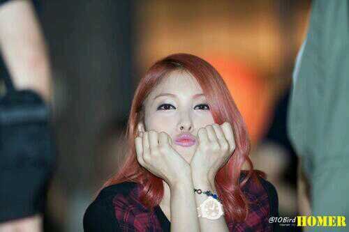Roleplayer of KDEnt_RP 규리 (of Kara) May 21 1988 .  ^^ [Burningjjong's]