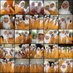 Wulan Dari R (@16wulanr) Twitter profile photo Wulan Dari R (@16wulanr) Twitter profile photo