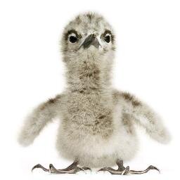 fluid_bender's profile picture. 