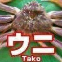矛盾系AA BOT (@mujyun_aabot) Twitter profile photo