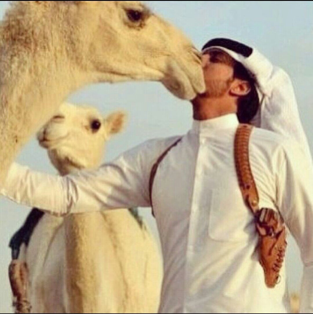 انا يامي بن يصبا وعيلي مطلقي ربعي معربتن مناسبها₩₩ الوعيلي قالها وراس حامي