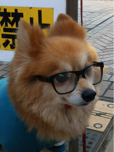 nonta_kitchen's profile picture. 映画鑑賞♡料理♡旅行♡野球観戦♡