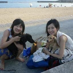 hiromilk_hk's profile picture. 最近はまっていることは、ゆるキャラの動画を見ることですｗ
リツイートしまくってます((*ﾟ∀ﾟ))
政治的なこともよく見てます((*ﾟ∀ﾟ))
スポーツ(してる人、高校・大学)、いろいろ大好きです＼(^o^)／ 
兵庫県芦屋市育ちで小池百合子都知事と同じ小学校出身の現役大学生のひろみるくです(_)