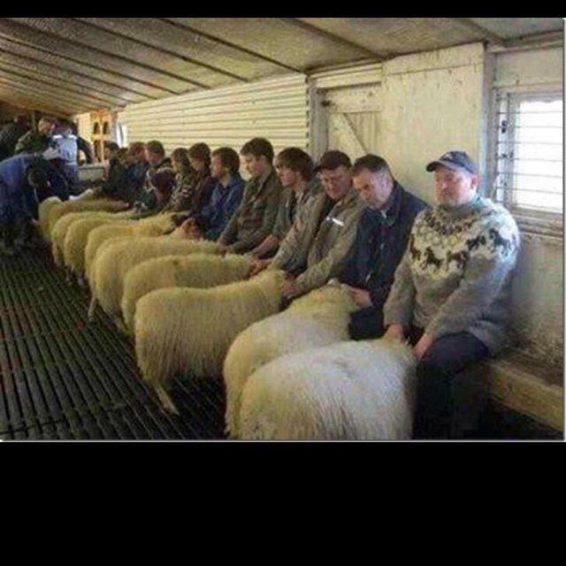 herefordbi's profile picture. Love fun, were ever it takes me.cant get enough dirty dm's . Always follow back