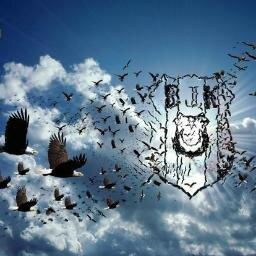 Sedatsahin8718's profile picture. 