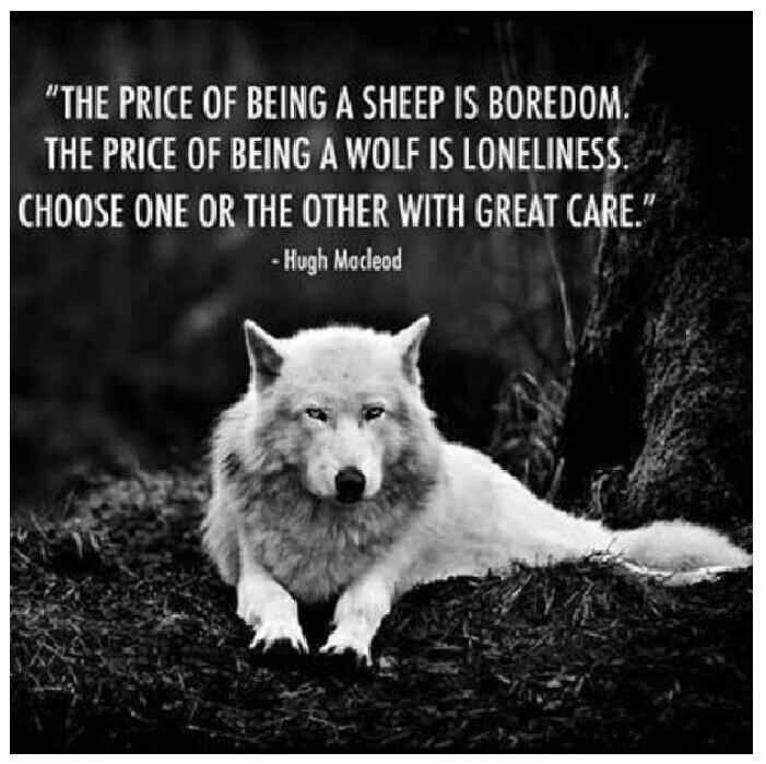 The Wolf lets his accomplishments be heard through his silence