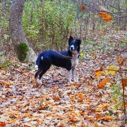 Nova Scotian born and raised. Pisces sun, Taurus moon, Virgo rising. Incomplete without dog and cat. Mother/daughter/sister.