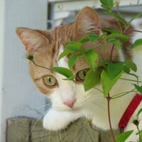 Judith Desjardins (@jdesjardinson) 's Twitter Profile Photo