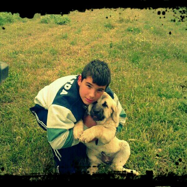 ImagenesPajaros's profile picture. 